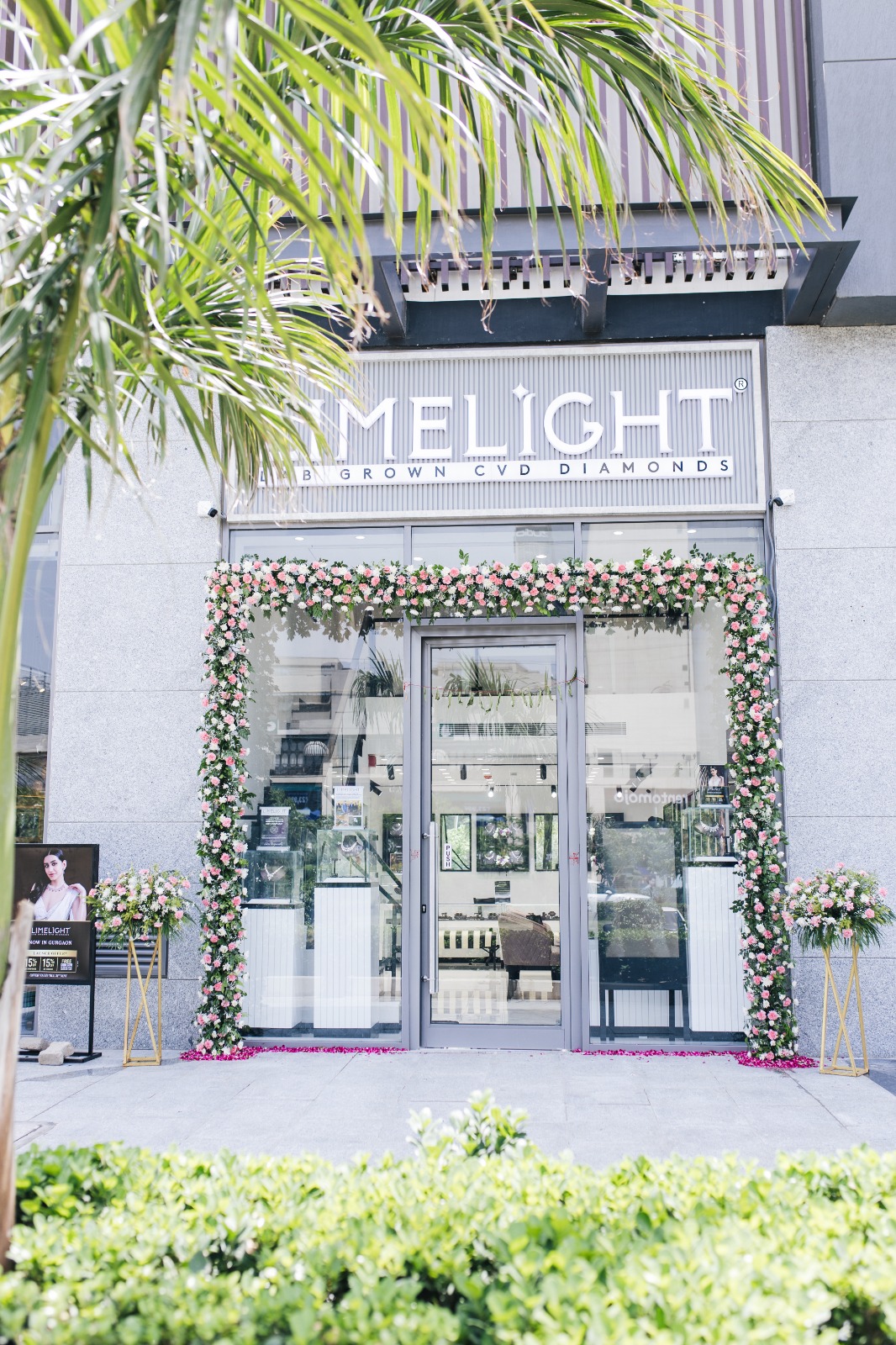 Jewel Buzz Visuals Exterior